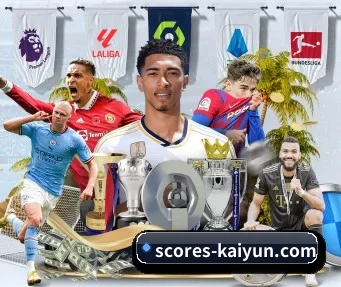 开云 APP - kaiyun sports